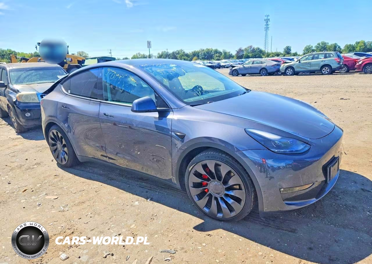 2023 Tesla Model Y Performance Dual Motor All-Wheel Drive VIN:7SAYGDEF2PF700393 - 4