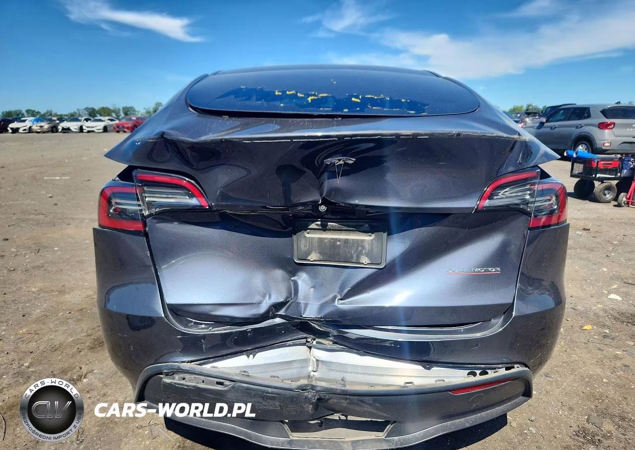 2023 Tesla Model Y Performance Dual Motor All-Wheel Drive VIN:7SAYGDEF2PF700393 - 6