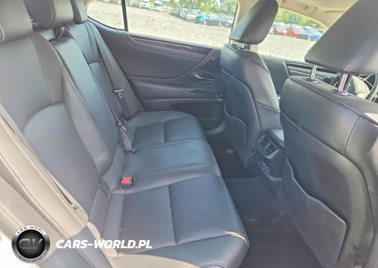 2021 Lexus Es 300H VIN:58ADA1C11MU008779 - 10