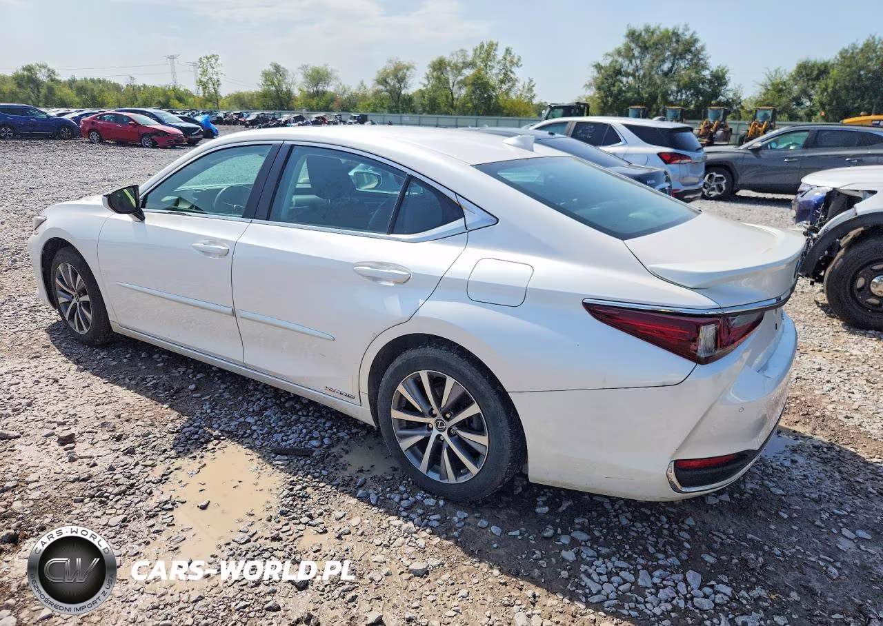 2021 Lexus Es 300H VIN:58ADA1C11MU008779 - 2