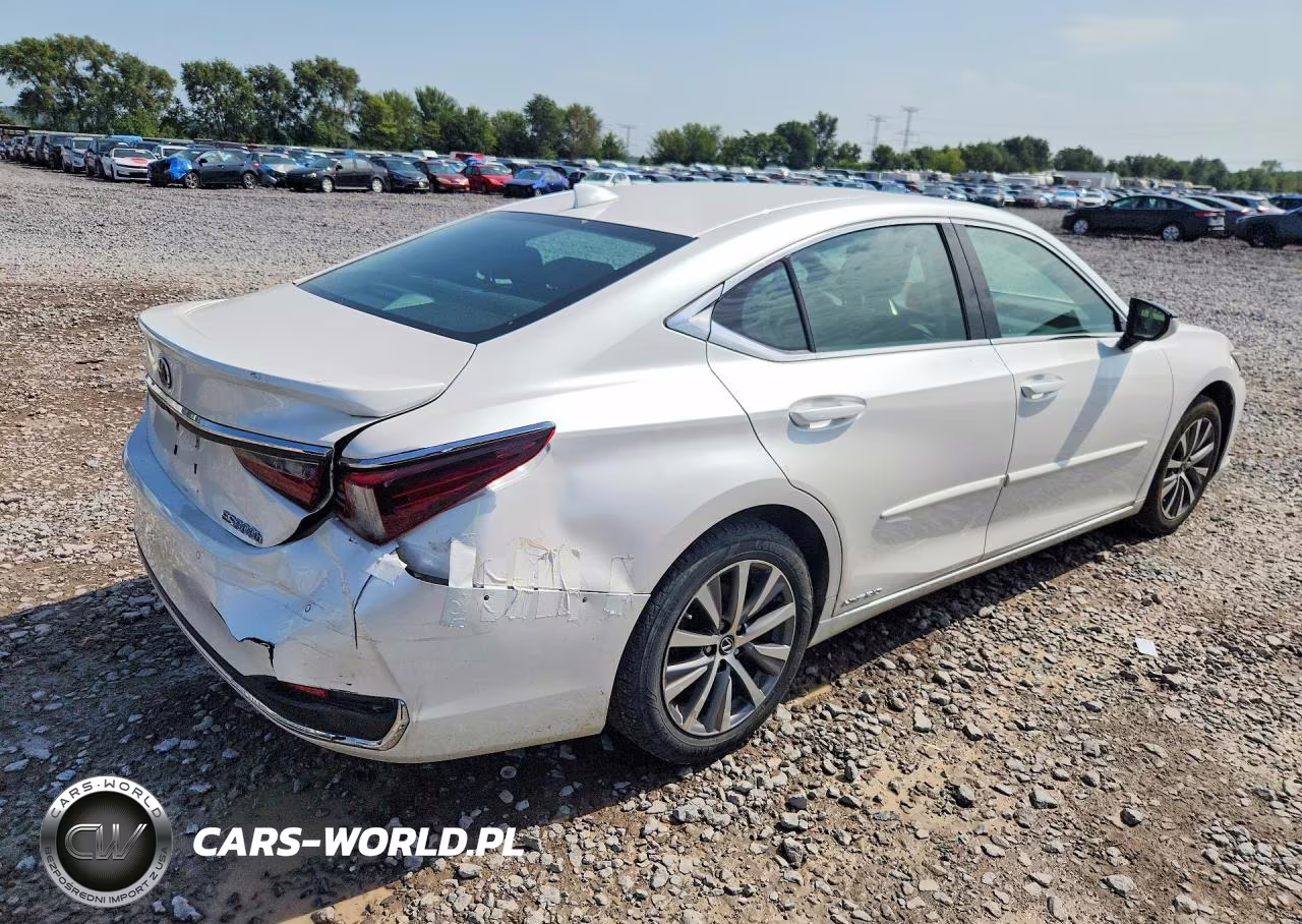 2021 Lexus Es 300H VIN:58ADA1C11MU008779 - 3
