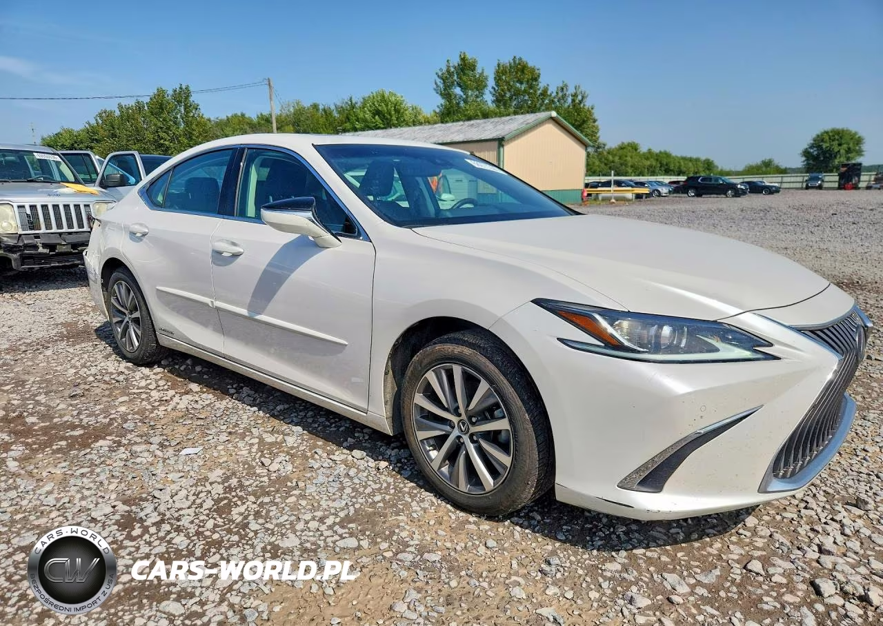 2021 Lexus Es 300H VIN:58ADA1C11MU008779 - 4
