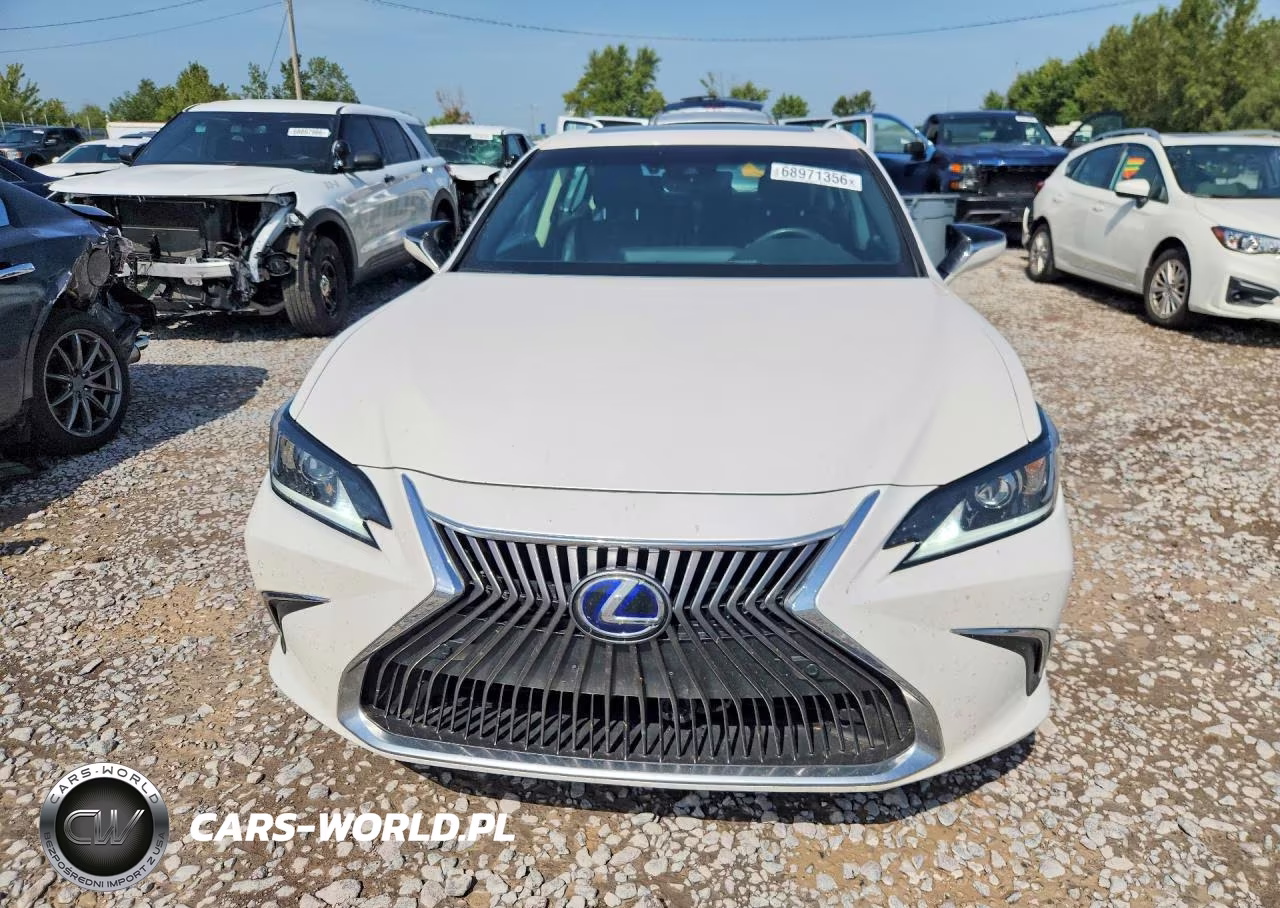 2021 Lexus Es 300H VIN:58ADA1C11MU008779 - 5