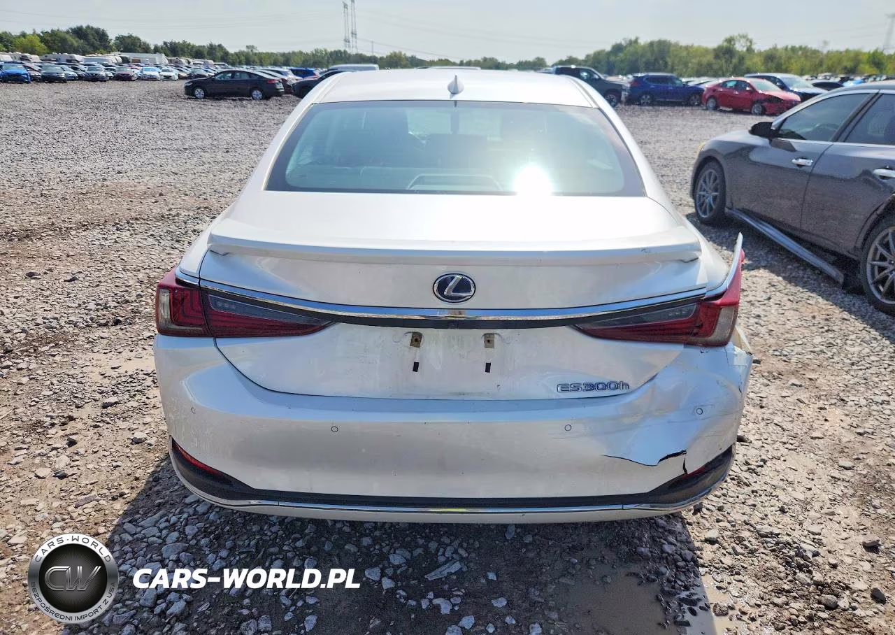 2021 Lexus Es 300H VIN:58ADA1C11MU008779 - 6