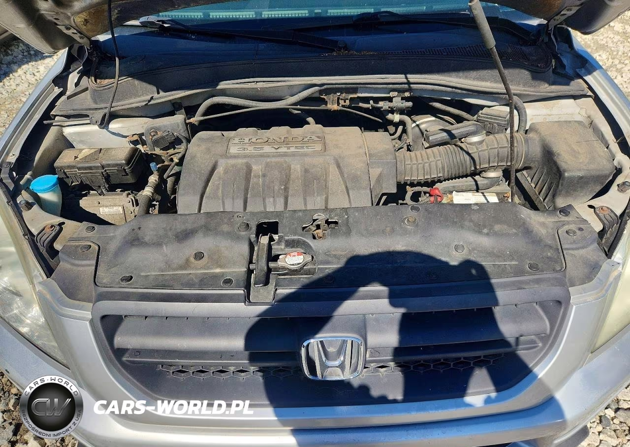2005 Honda Pilot Exl VIN:5FNYF18595B037256 - 12