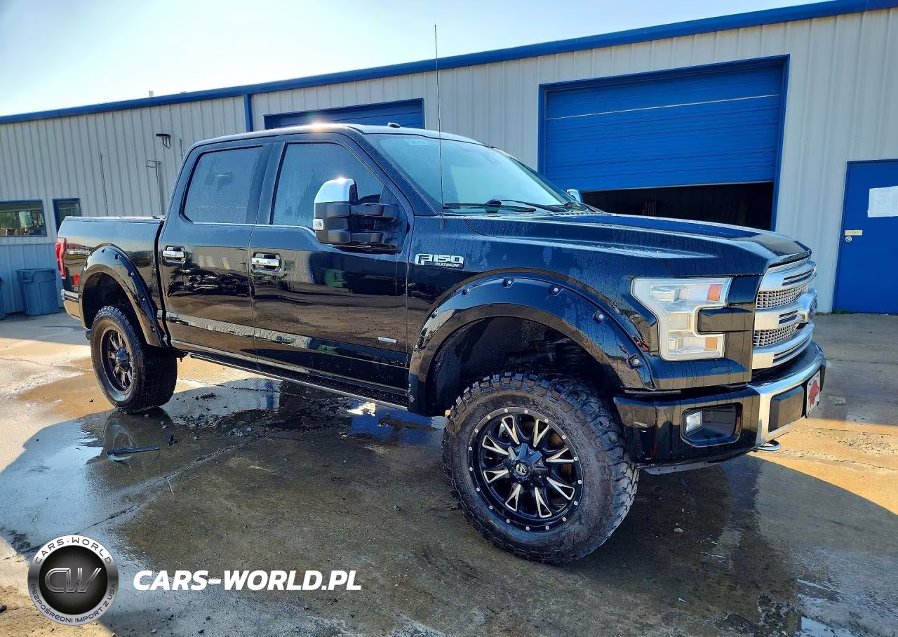 2016 Ford F150 Supercrew VIN:1FTEW1EG9GFA09836 - 4