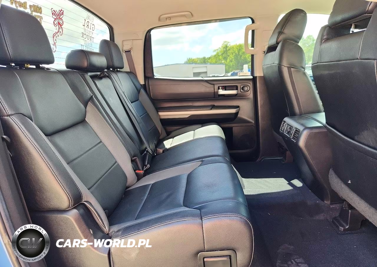 2020 Toyota Tundra Crewmax Limited VIN:5TFHY5F19LX871841 - 10
