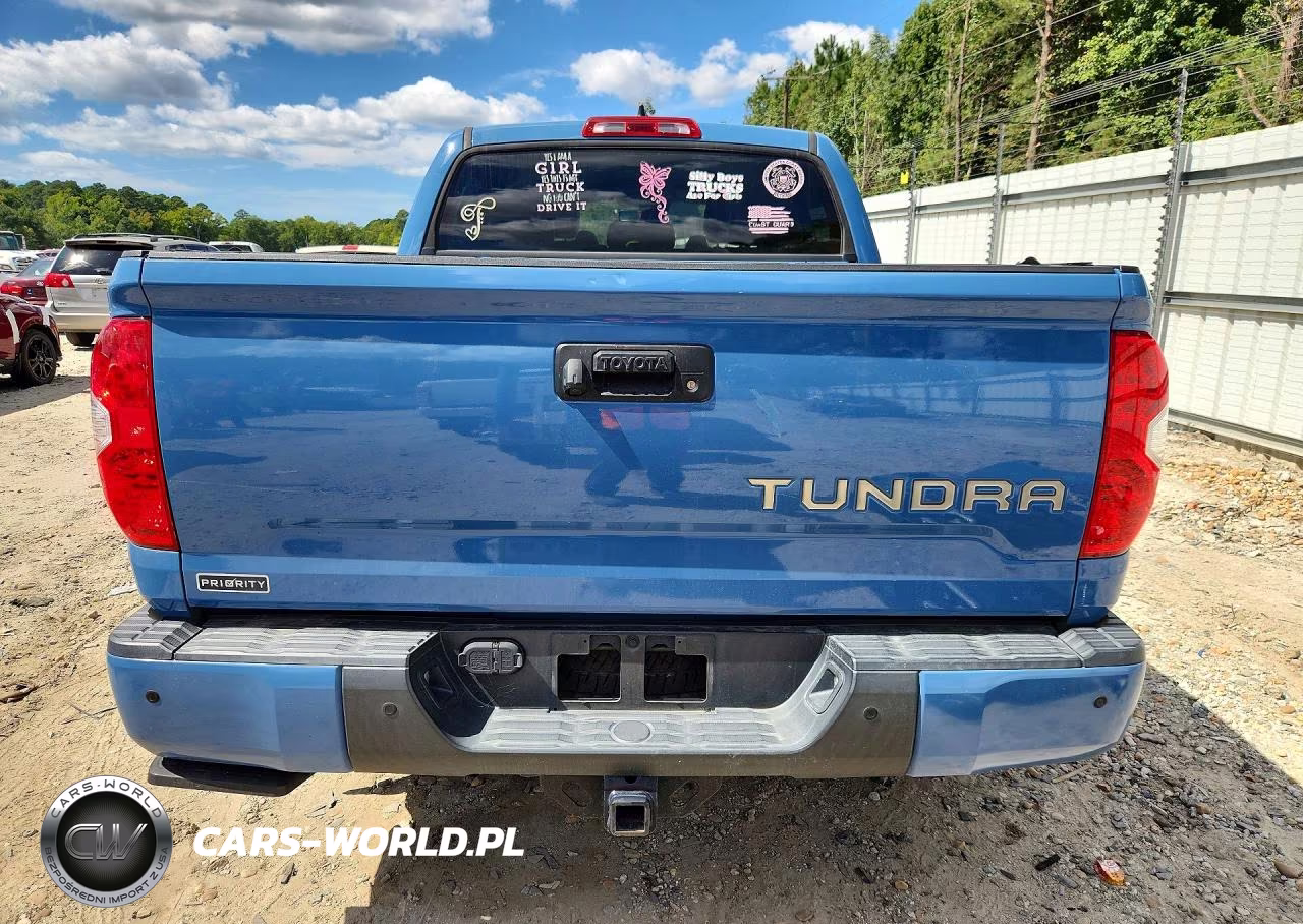 2020 Toyota Tundra Crewmax Limited VIN:5TFHY5F19LX871841 - 6
