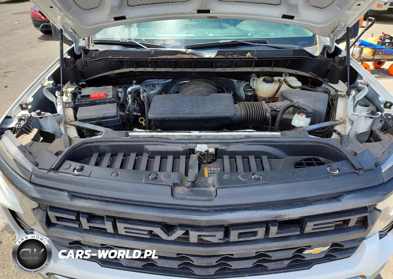 CHEVROLET SILVERADO 1500 VIN:3GCNAAED1PG173763 - 11