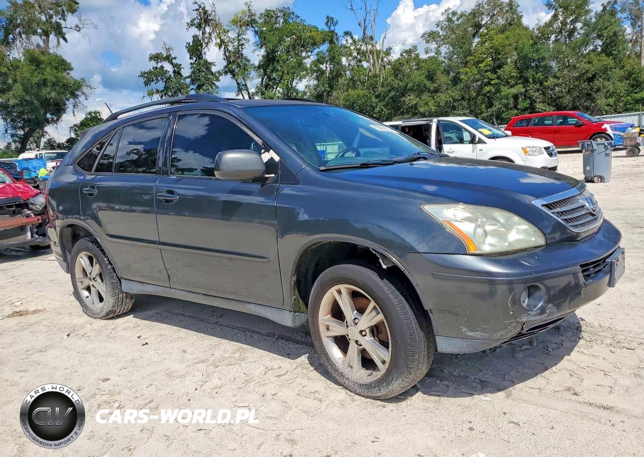 2006 Lexus Rx 400 VIN:JTJHW31U660001163 - 4