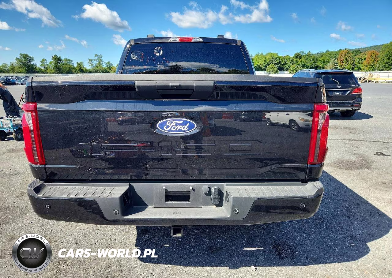 2025 Ford F150 Stx VIN:1FTEW2LP0SKD94776 - 6