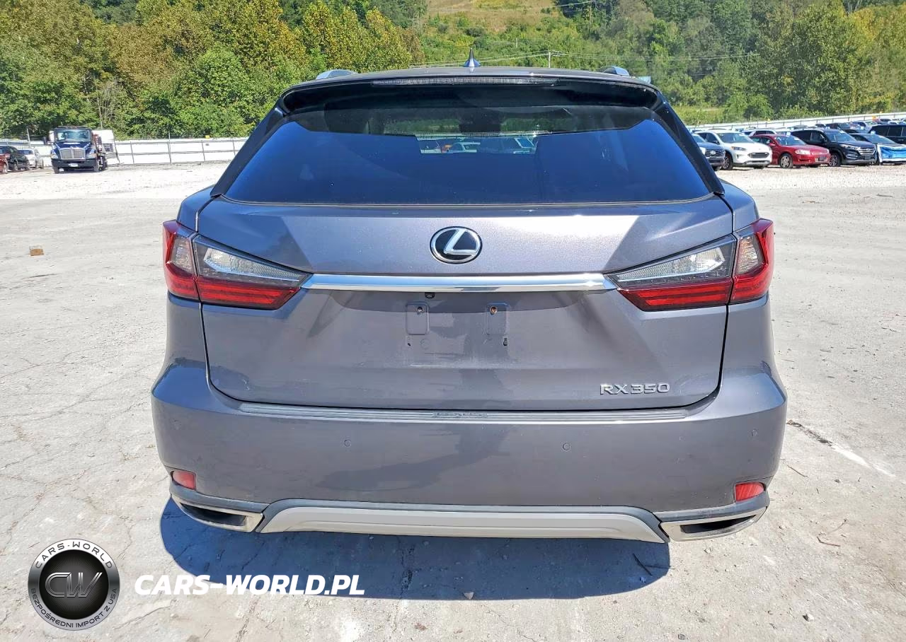 2020 Lexus Rx 350 VIN:2T2HZMDAXLC245462 - 6