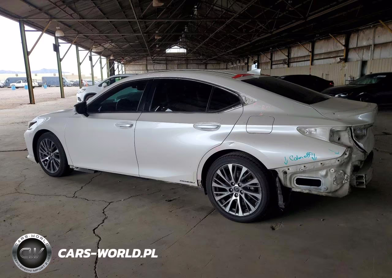 2020 Lexus Es 300H VIN:58AD21B13LU011776 - 2