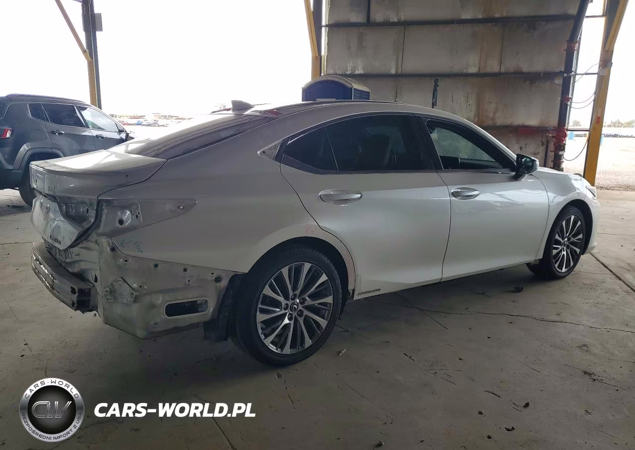 2020 Lexus Es 300H VIN:58AD21B13LU011776 - 3