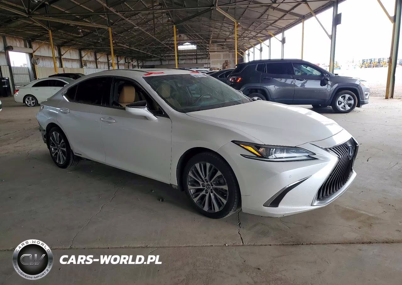 2020 Lexus Es 300H VIN:58AD21B13LU011776 - 4
