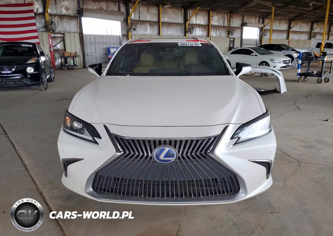 2020 Lexus Es 300H VIN:58AD21B13LU011776 - 5
