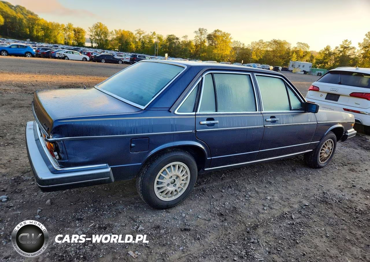 1981 Audi 5000 Deluxe VIN:WAUGG0437BN037676 - 3