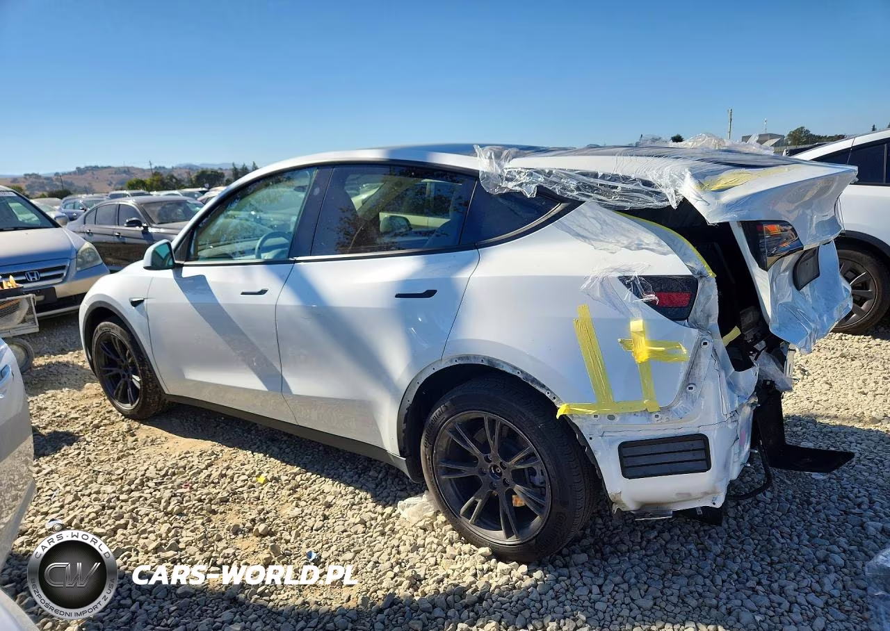2024 Tesla Model Y VIN:7SAYGAEE6RF152794 - 2