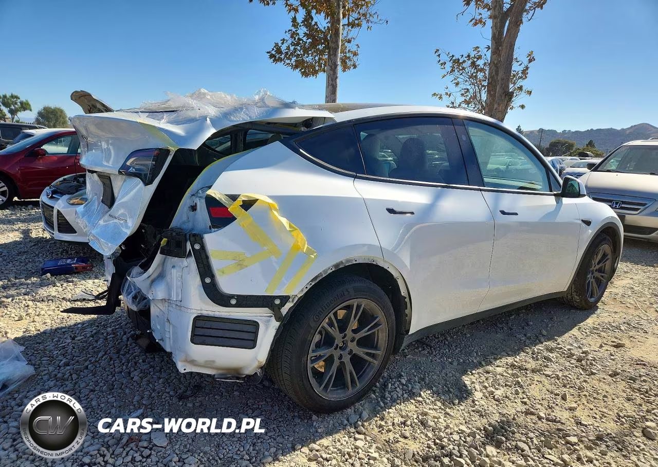 2024 Tesla Model Y VIN:7SAYGAEE6RF152794 - 3