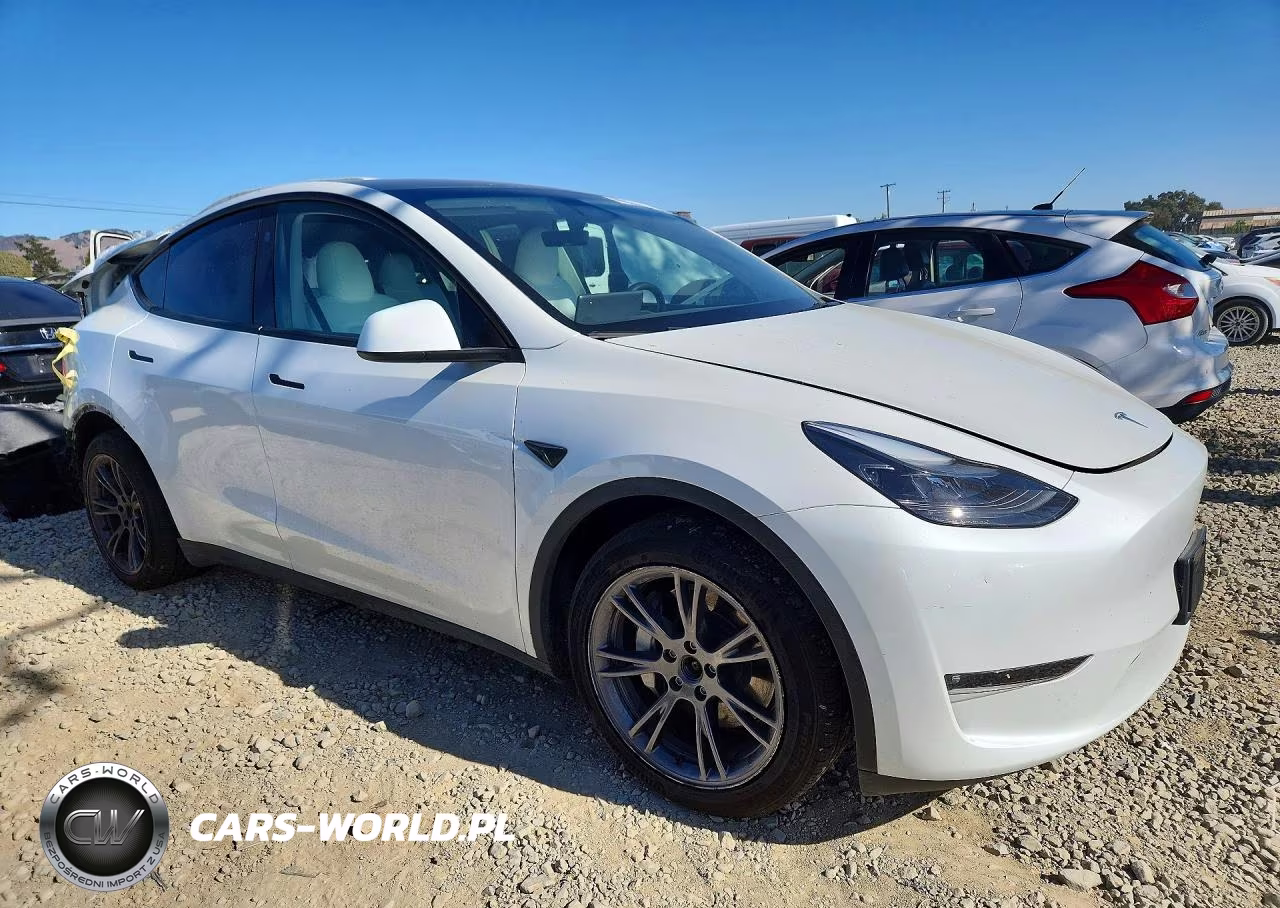 2024 Tesla Model Y VIN:7SAYGAEE6RF152794 - 4