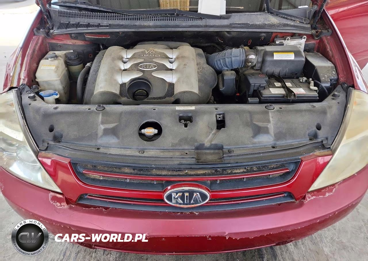 2006 Kia Sedona Lx VIN:KNDMB233866029345 - 12