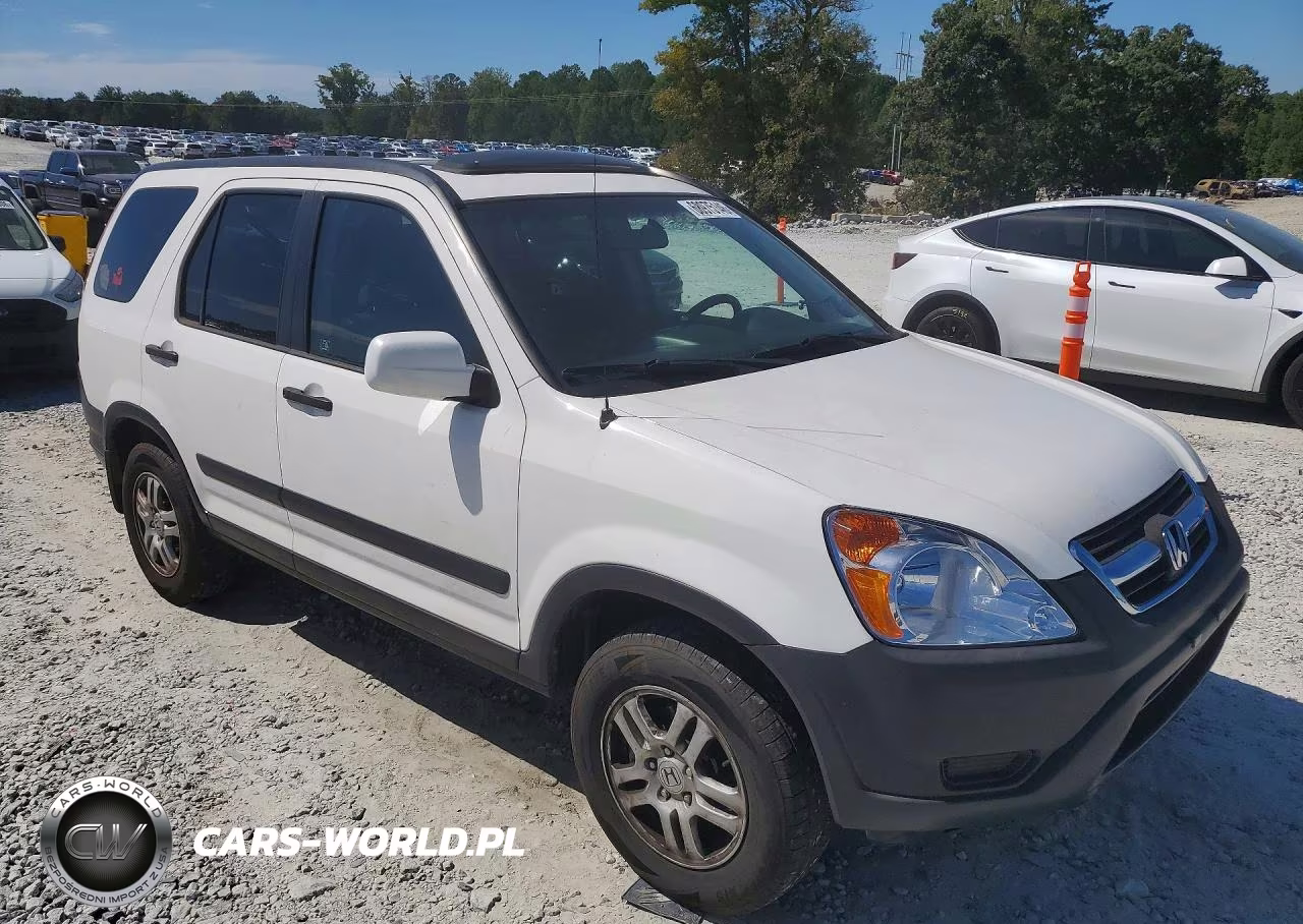 2004 Honda Cr-V Ex VIN:SHSRD78884U239519 - 4