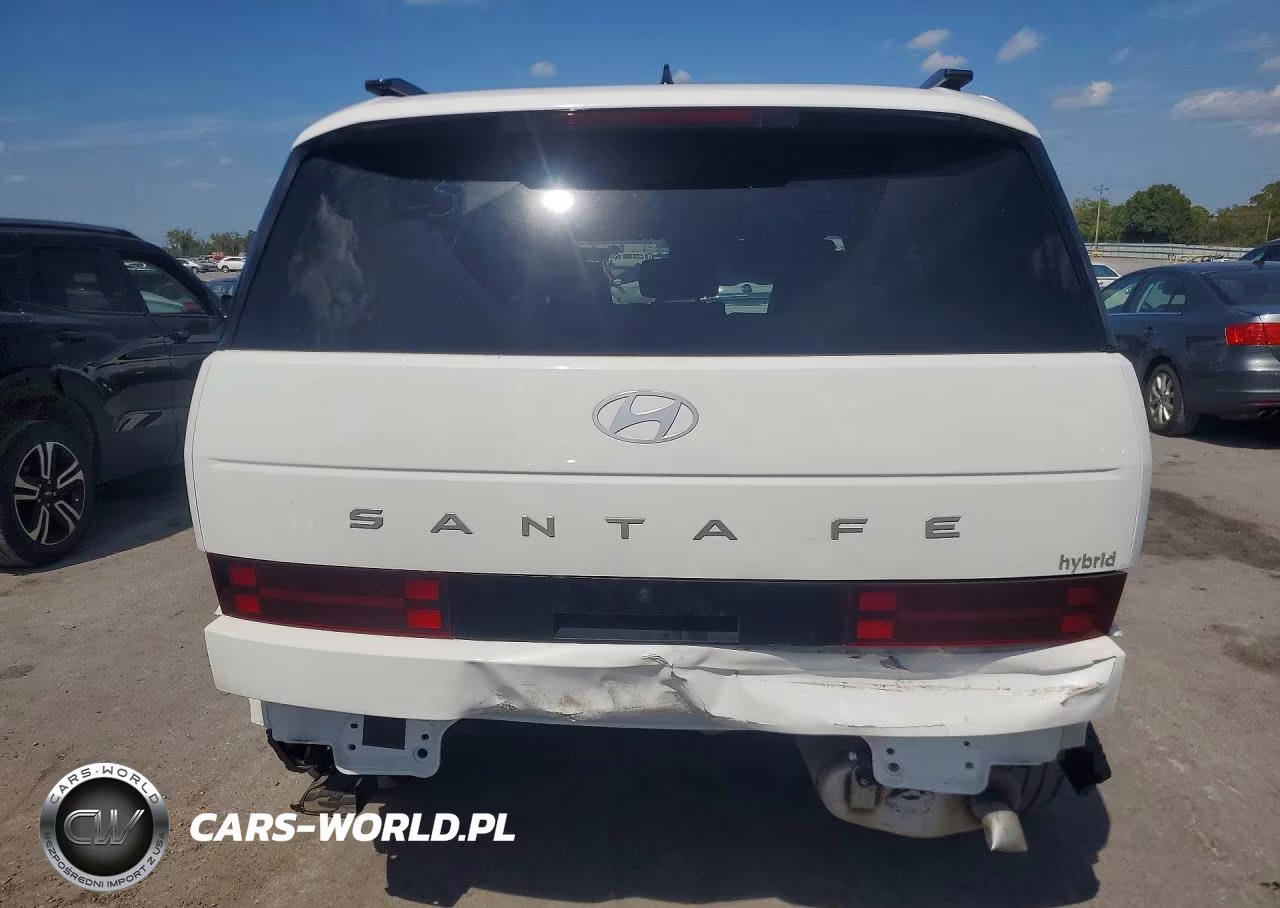 2025 Hyundai Santa Fe Limited VIN:5NMP34G11SH061629 - 6