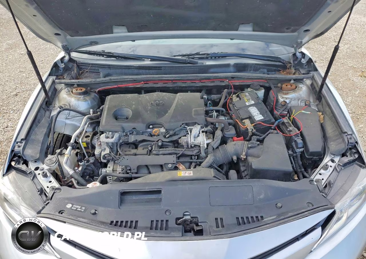 2019 Toyota Camry Le VIN:4T1B11HK1KU856836 - 11