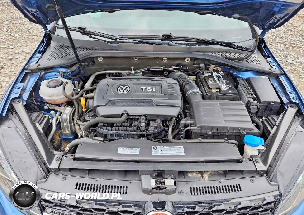 2019 Volkswagen Golf Alltrack S VIN:3VWH17AU9KM511231 - 12