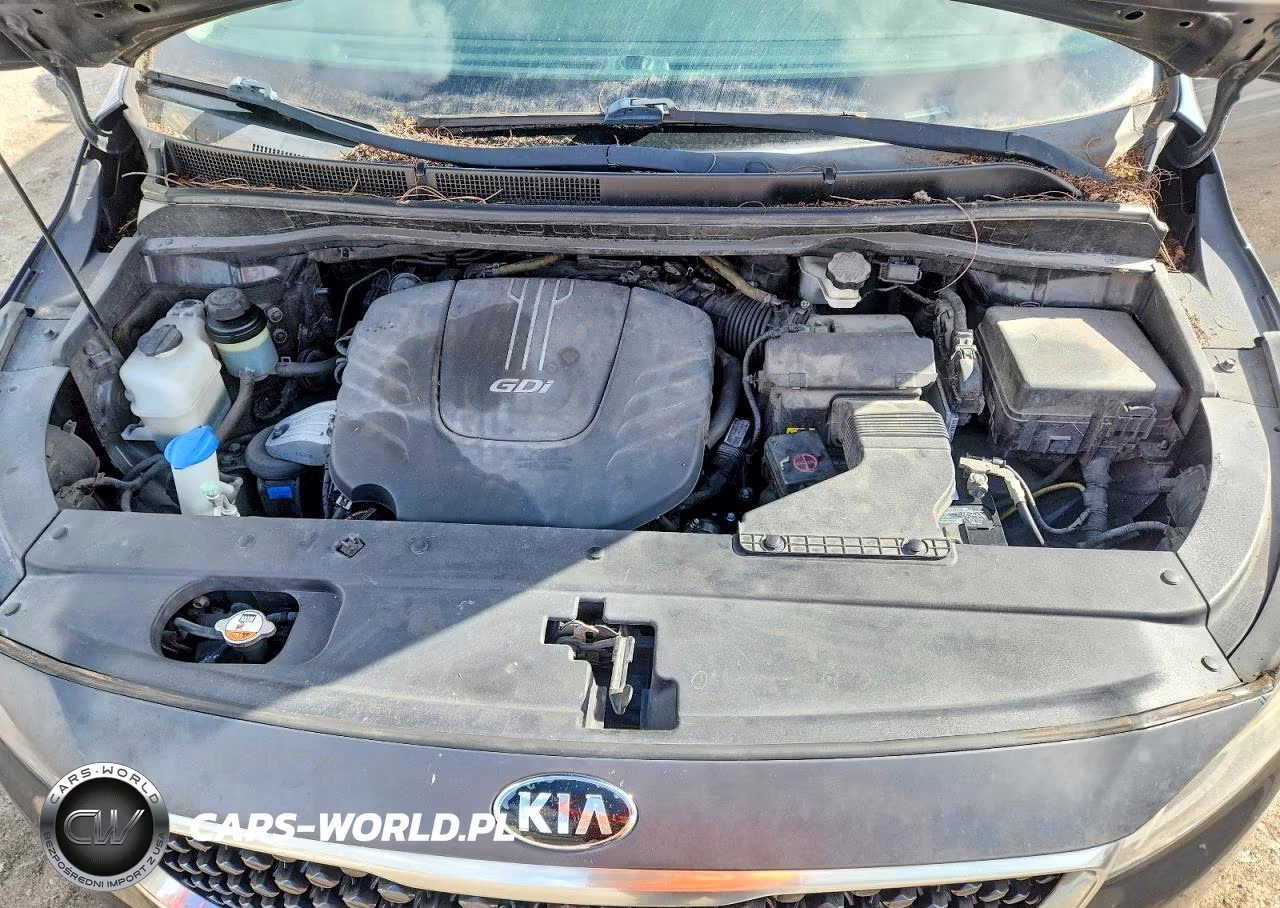 2016 Kia Sedona Lx VIN:KNDMB5C19G6159765 - 12