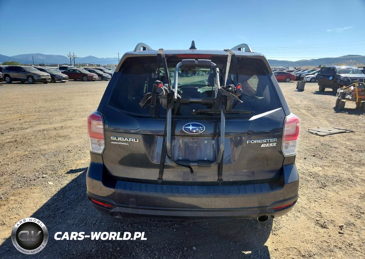 2017 Subaru Forester 2.5I Touring VIN:JF2SJATC4HH541746 - 6