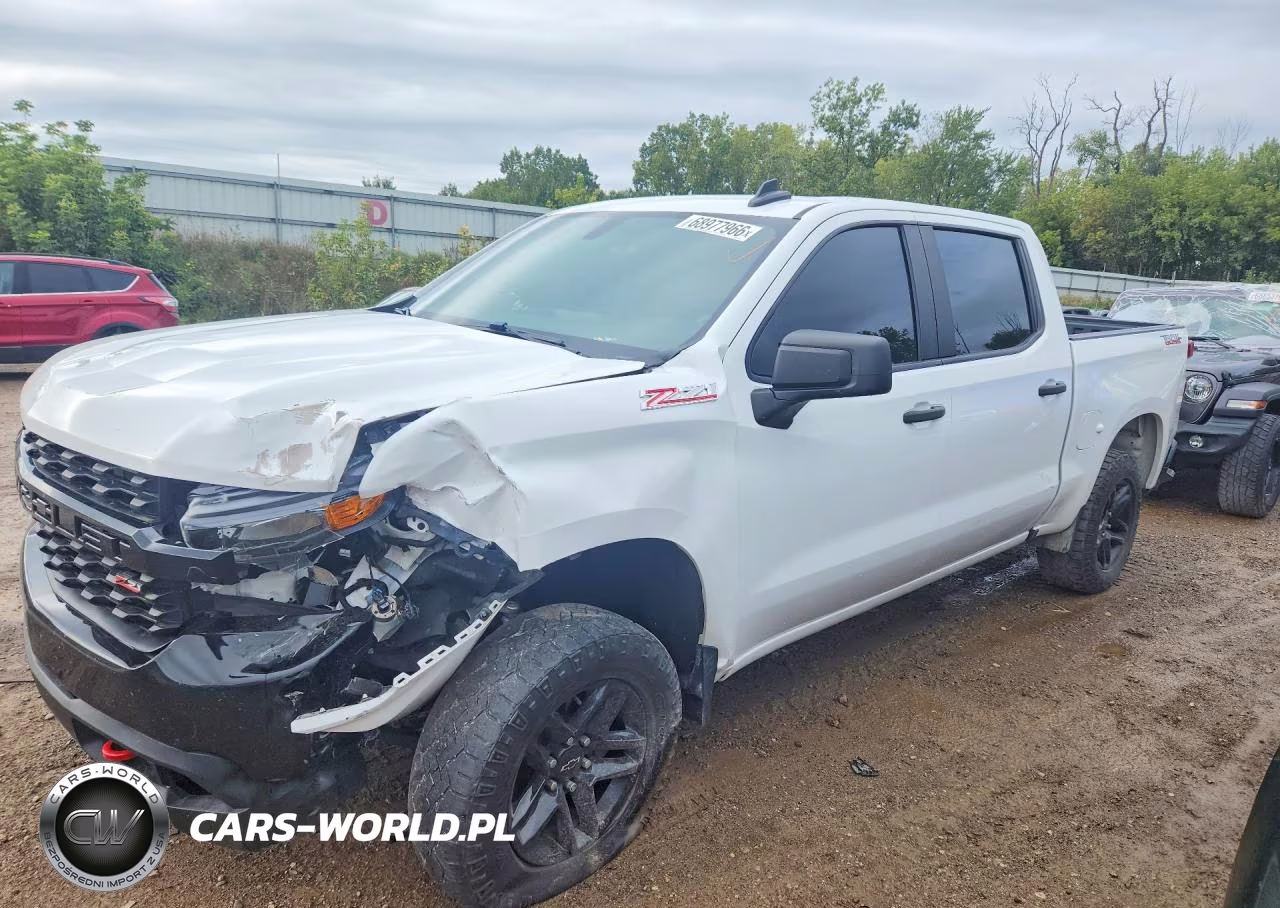 2021 Chevrolet Silverado K1500 Trail Boss Custom VIN:1GCPYCEFXMZ272546 - 1