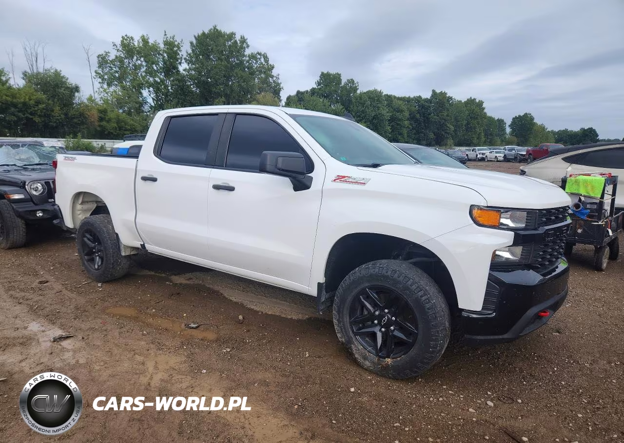 2021 Chevrolet Silverado K1500 Trail Boss Custom VIN:1GCPYCEFXMZ272546 - 4