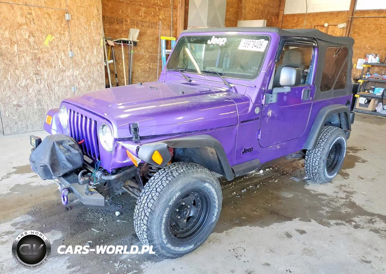 2005 Jeep Wrangler - Tj Se VIN:1J4FA29165P366889 - 1