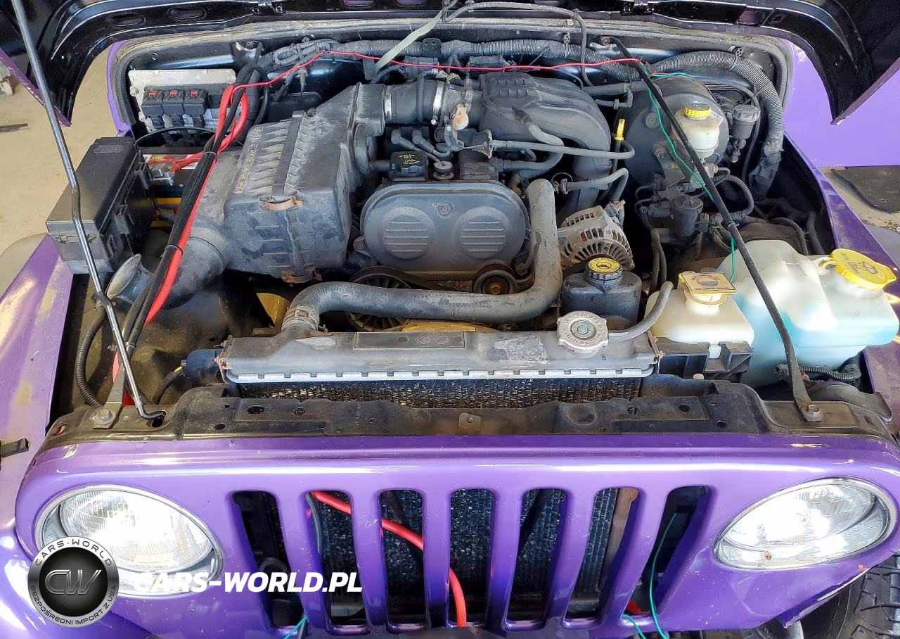 2005 Jeep Wrangler - Tj Se VIN:1J4FA29165P366889 - 12