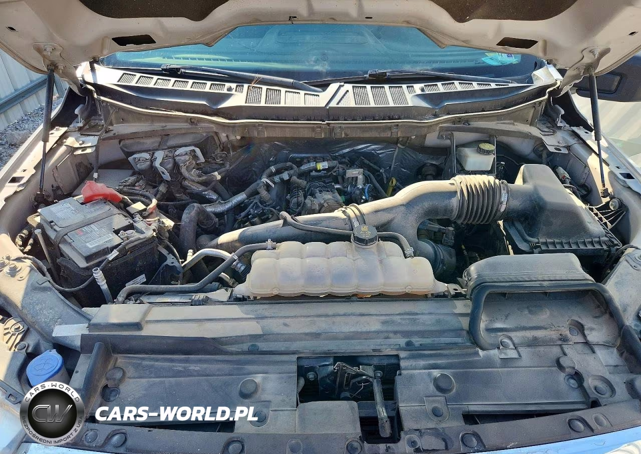 2021 Ford F150 Supercrew VIN:1FTEW1EP9MKE76497 - 11