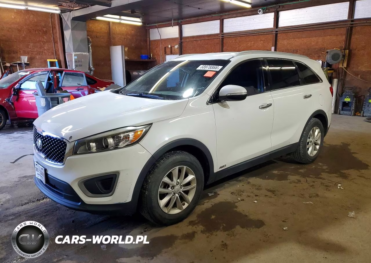 2017 Kia Sorento Lx VIN:5XYPGDA3XHG199994 - 1
