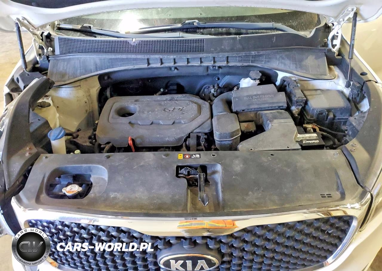 2017 Kia Sorento Lx VIN:5XYPGDA3XHG199994 - 12