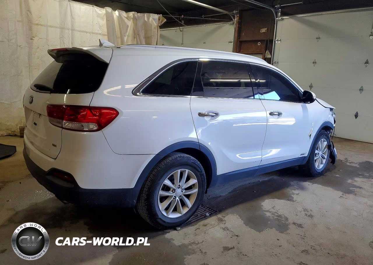 2017 Kia Sorento Lx VIN:5XYPGDA3XHG199994 - 3