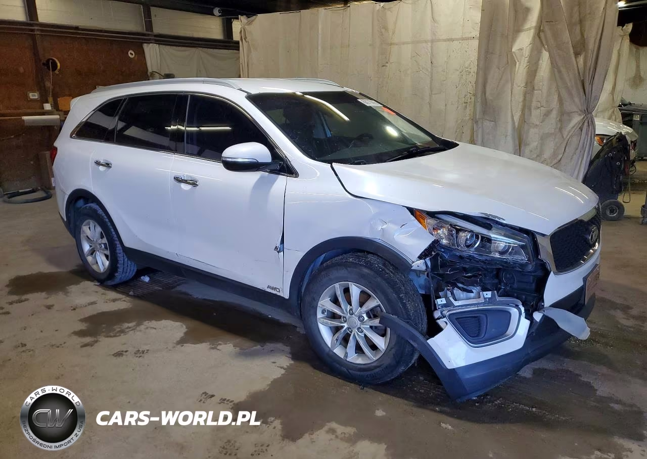 2017 Kia Sorento Lx VIN:5XYPGDA3XHG199994 - 4