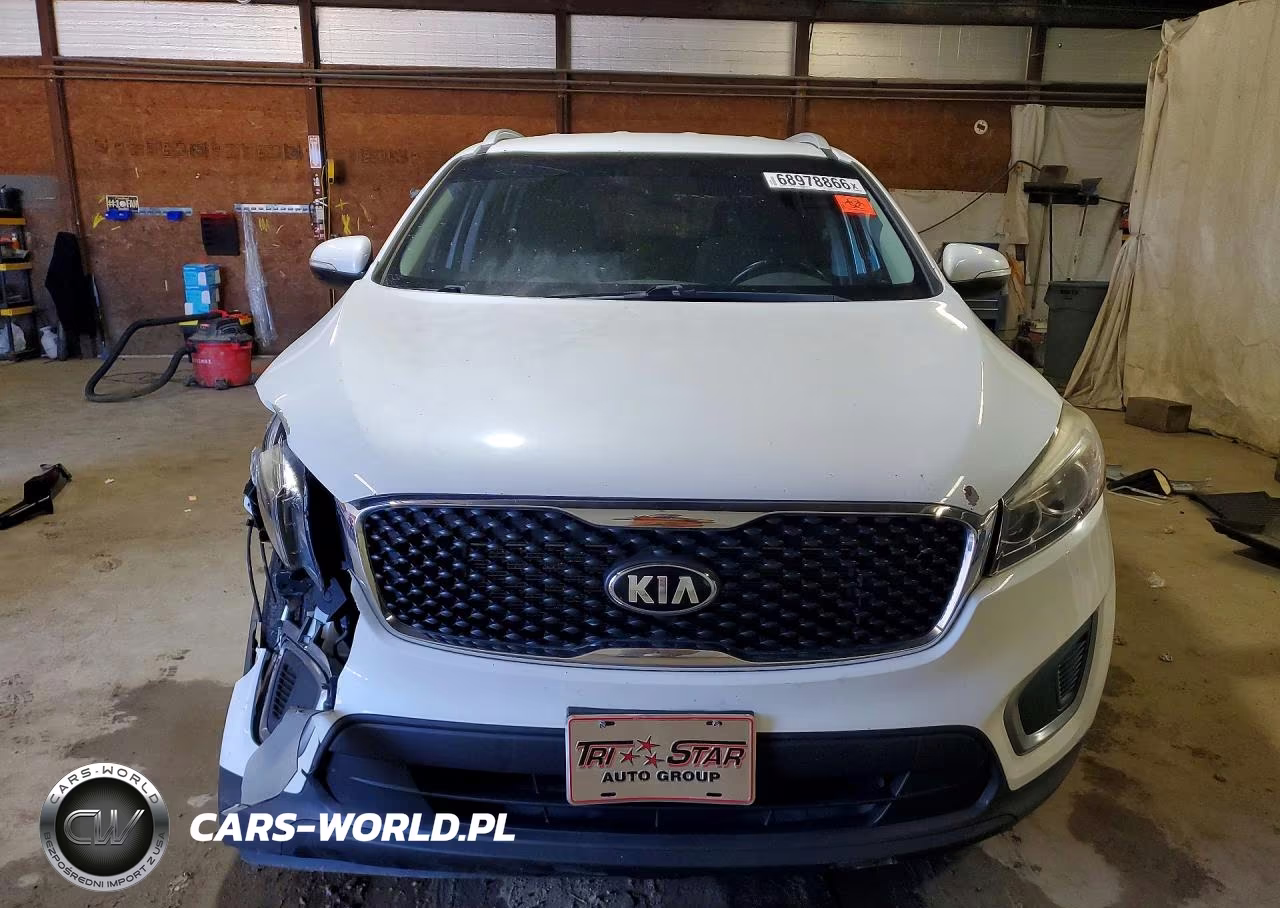 2017 Kia Sorento Lx VIN:5XYPGDA3XHG199994 - 5