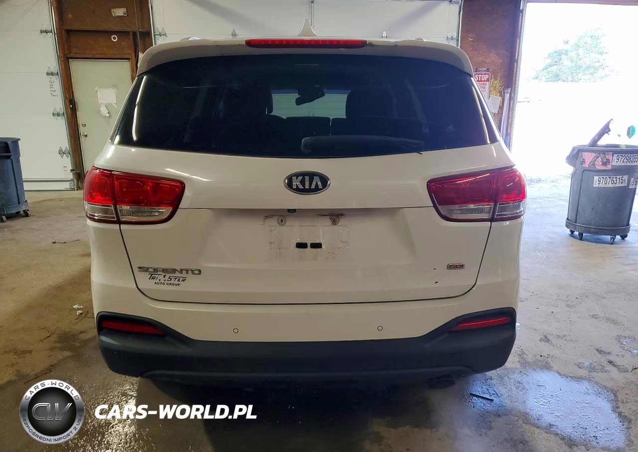 2017 Kia Sorento Lx VIN:5XYPGDA3XHG199994 - 6