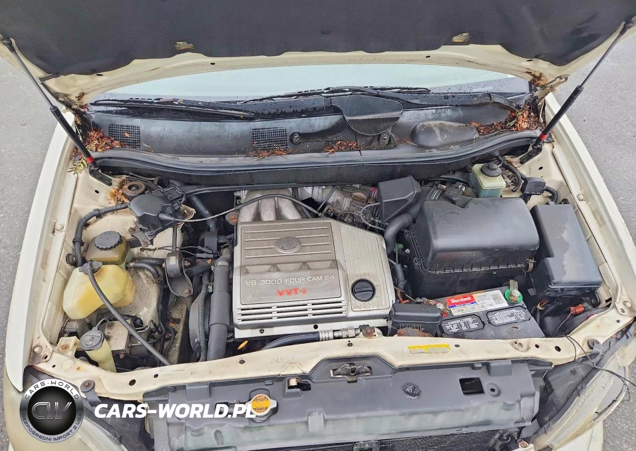 1999 Lexus Rx 300 VIN:JT6HF10U6X0035640 - 12