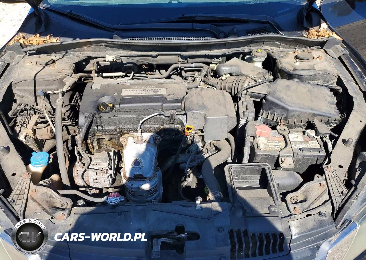 2013 Honda Accord Lx VIN:1HGCR2F33DA041658 - 11