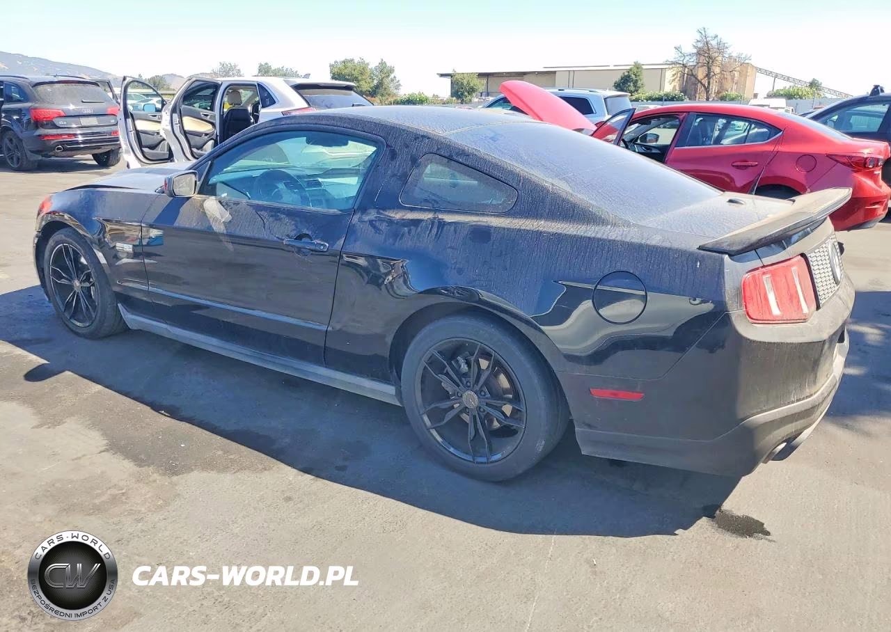 2010 Ford Mustang Gt VIN:1ZVBP8CH0A5128941 - 2