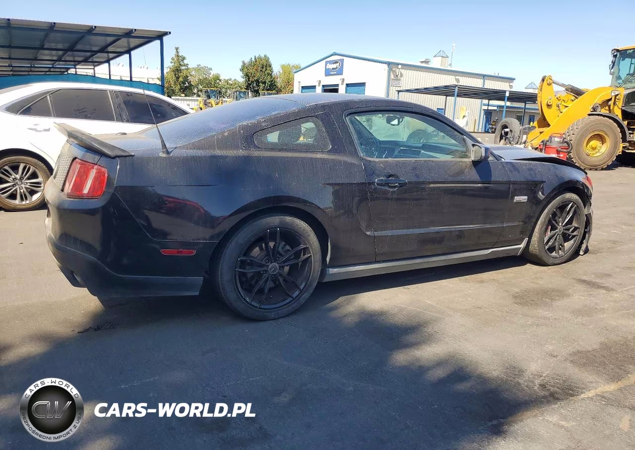 2010 Ford Mustang Gt VIN:1ZVBP8CH0A5128941 - 3