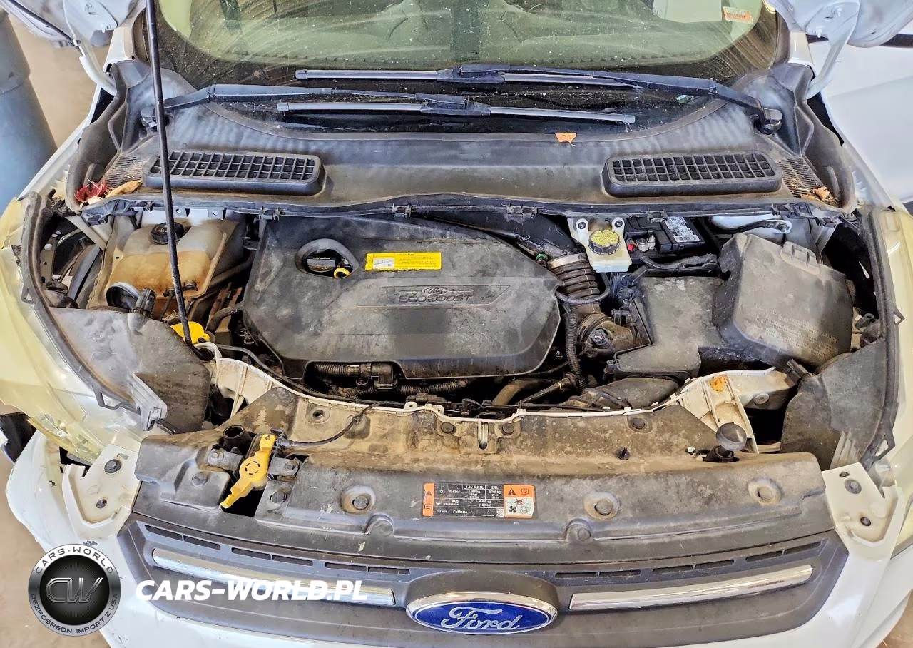 2015 Ford Escape Se VIN:1FMCU0GX6FUB48851 - 12