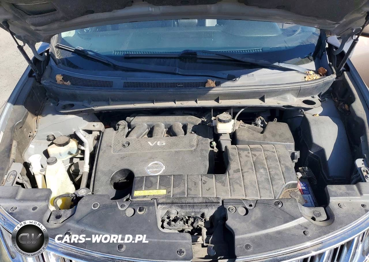 2009 Nissan Murano S VIN:JN8AZ18W09W139214 - 11