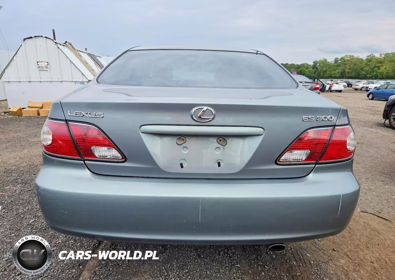 2002 Lexus Es 300 VIN:JTHBF30G720022018 - 6