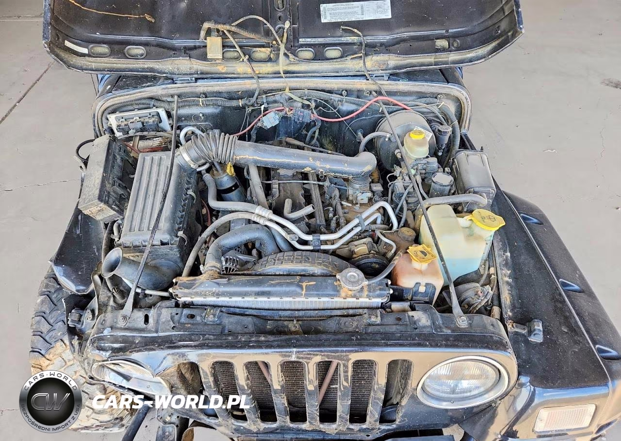 2002 Jeep Wrangler - Tj Sport VIN:1J4FA49S82P700114 - 11
